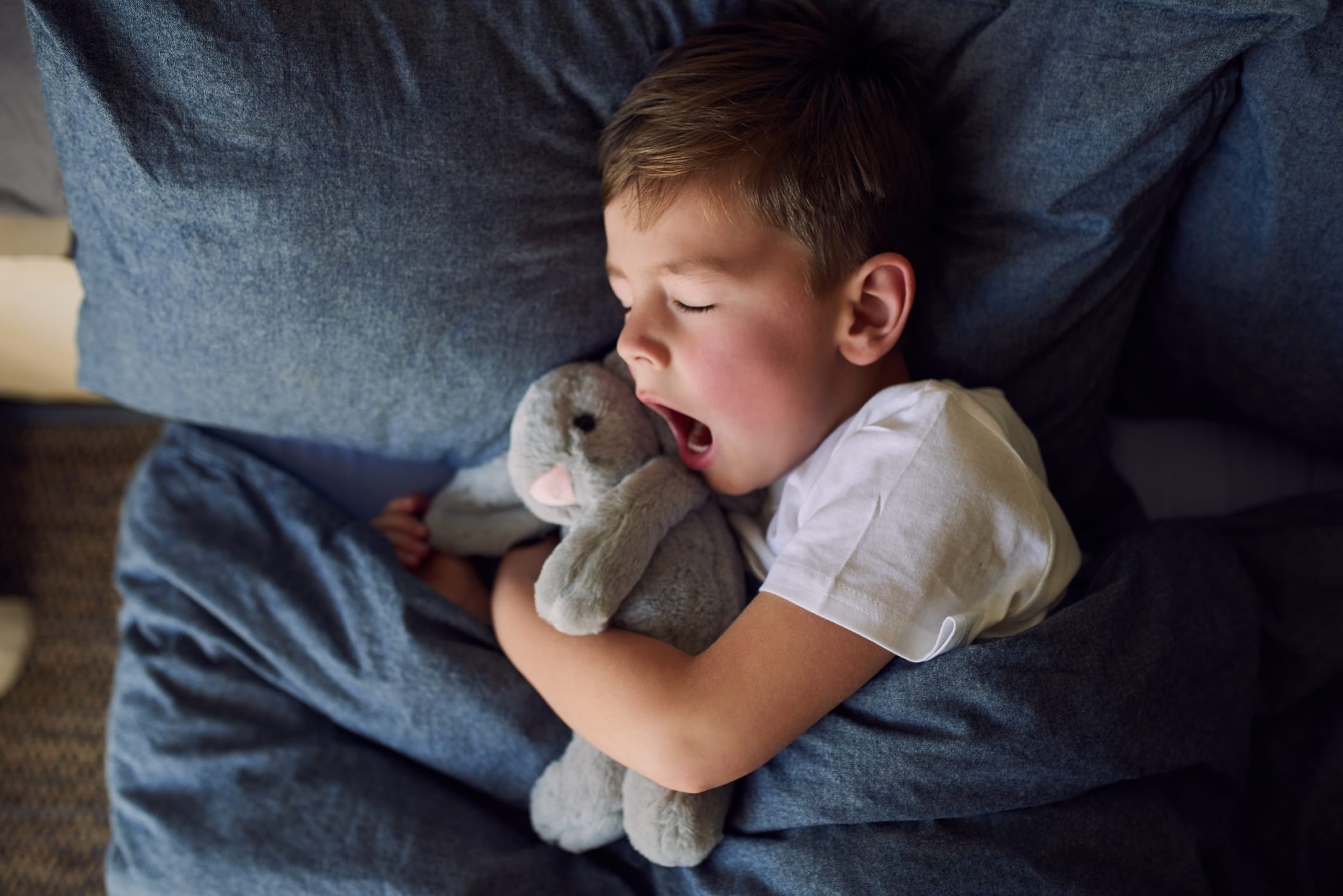 Young boy sleeping while holding stuffed animal