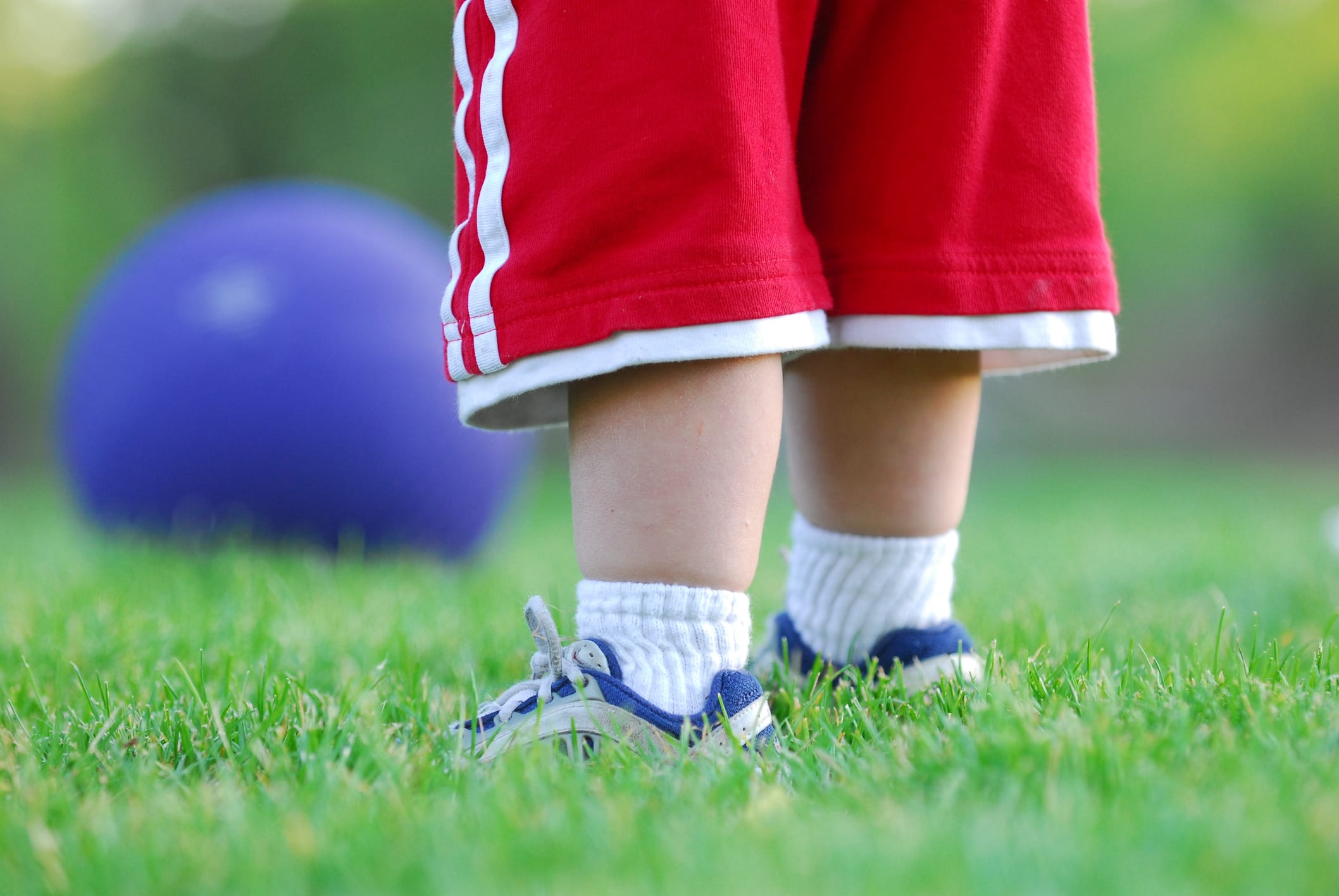 Child in red shorts standing in green grass in foreground, blue ball in backgroud
